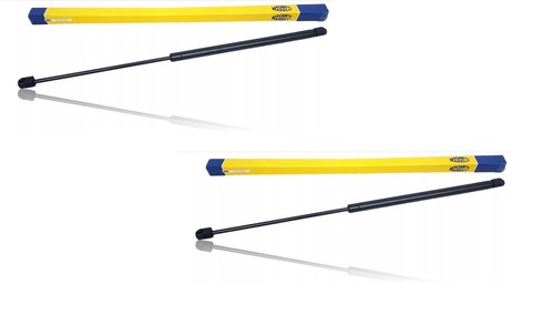 Magneti marelli gasfeder - x,
